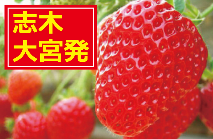 いちご