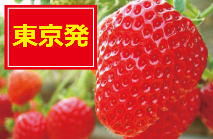いちご