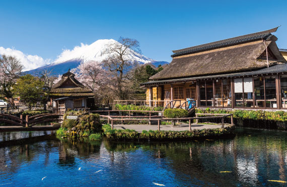 忍野八海