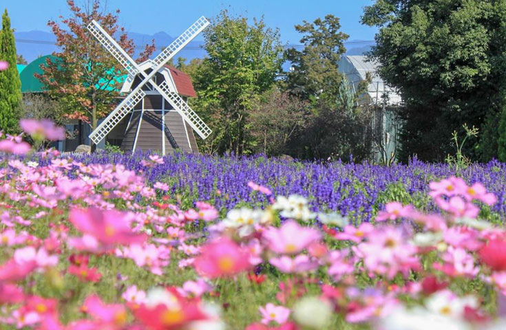ハーブ庭園
