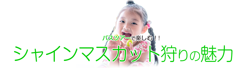 シャインマスカット狩りの魅力